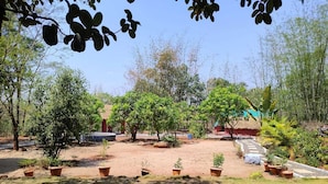 A garden with various potted plants and trees, a thatched-roof structure, and a clear sky. - Alate's guest house (Bhor)