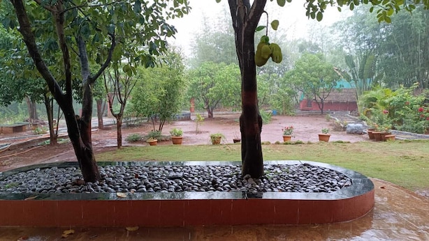 A garden with a circular stone feature, trees, and potted plants. - Alate's guest house (Bhor)