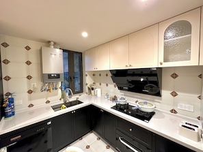 Apartment, City View | Private kitchen