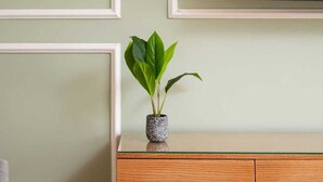Una sala de estar con un aparador de madera, una planta verde en una maceta con textura y un televisor de pantalla plana montado en la pared.