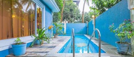 A swimming pool with a blue tiled deck, surrounded by potted plants and a blue wall.