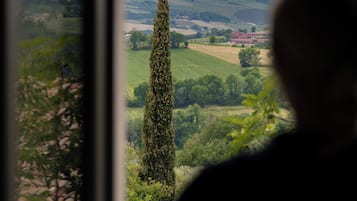 Classic Room, Vineyard View | Desk, laptop workspace, iron/ironing board, free WiFi