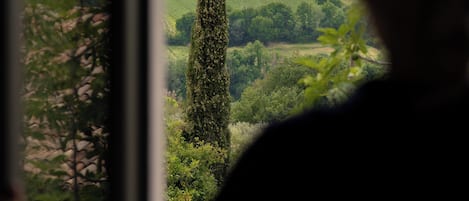 Classic Room, Vineyard View