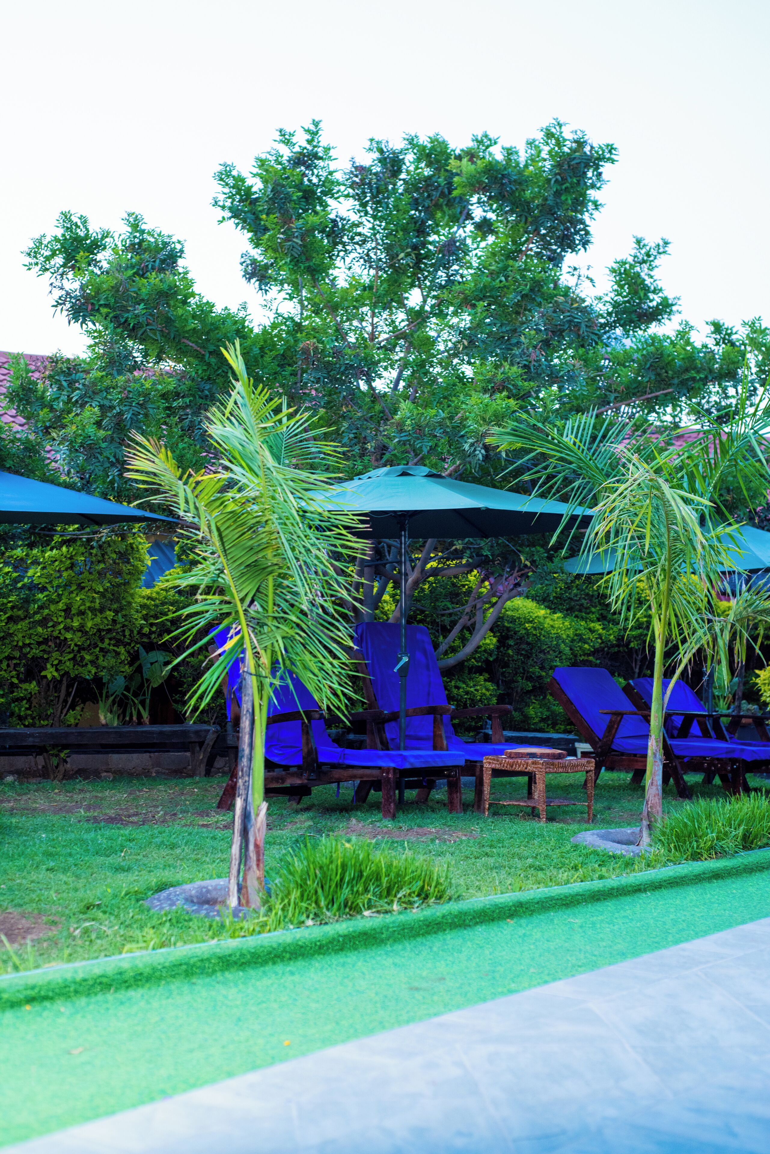 Outdoor pool, pool umbrellas, pool loungers
