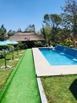 Outdoor pool, pool umbrellas, sun loungers