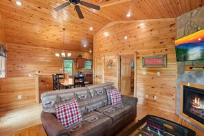 TV, fireplace, books