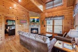 TV, fireplace, books