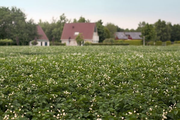 Áreas de la propiedad