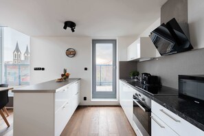 Fridge, microwave, oven, dishwasher - 3-bedrooms penthouse with large terrace (Prague)