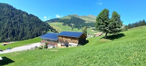 AuĂenbereich