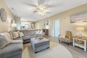 Televisión, chimenea y reproductor de DVD