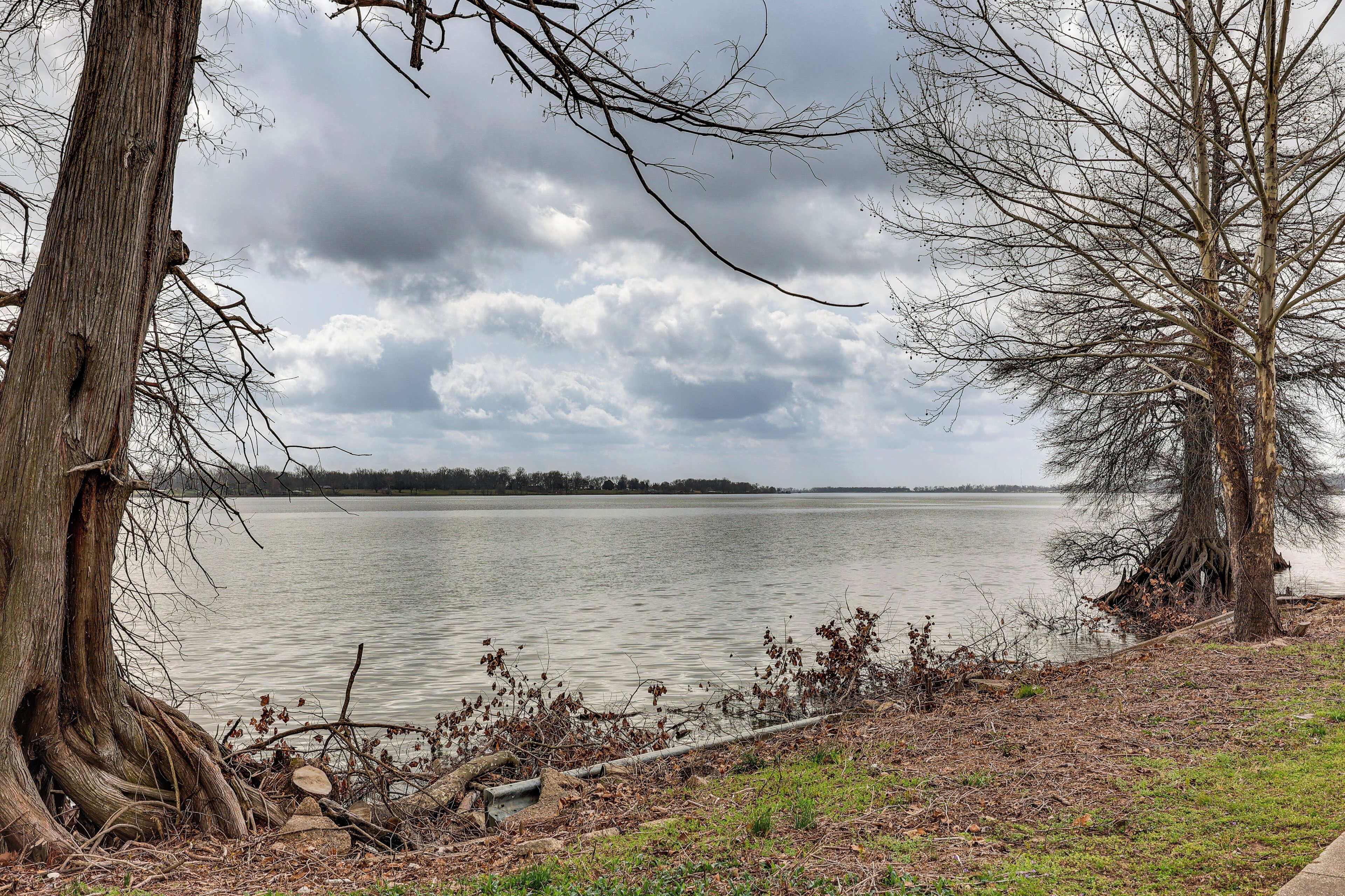 A lakeside view with a large tree trunk and a grassy area in the foreground.