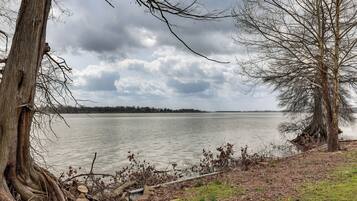 A lakeside view with a large tree trunk and a grassy area in the foreground.