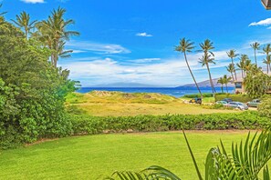 Paesaggio verdeggiante e lussureggiante con palme, un cielo azzurro limpido e vista sull'oceano.