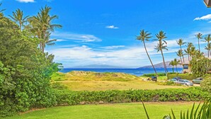Un paisaje exuberante de color verde con palmeras, un cielo azul brillante y vistas al océano.