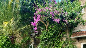A stone staircase leading up to a building, surrounded by lush greenery and a flowering tree. - QUINTA DE RIBAS - Les Bougainvilliers charming house for families or groups (vila cha do marao)