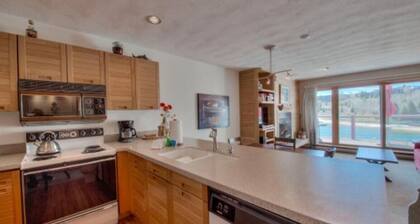 Lakefront Property in Dillon, Close to Slopes and Marina