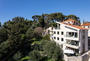 Exterior - Villa Vita Adele pool sauna jacuzzi sea view bbq family (Dubrovnik)