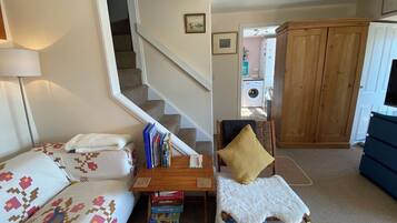 TV connectée, cheminée, lecteur de DVD, livres