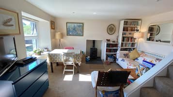 TV connectée, cheminée, lecteur de DVD, livres