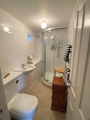 A bathroom with a toilet, sink, and glass-enclosed shower.