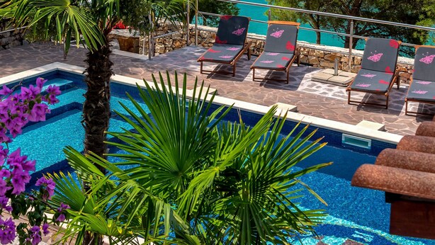 A pool area with lounge chairs, a palm tree, and a view of the sea and forest. - Hidden Heaven Private Resort - Heated Pool (Milna)