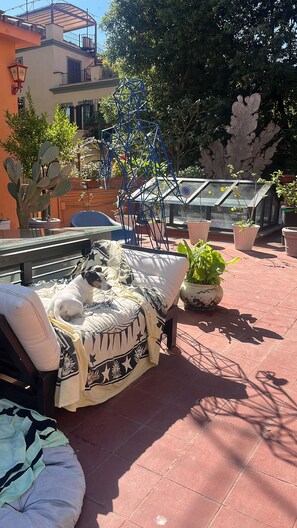 Terrasse/patio