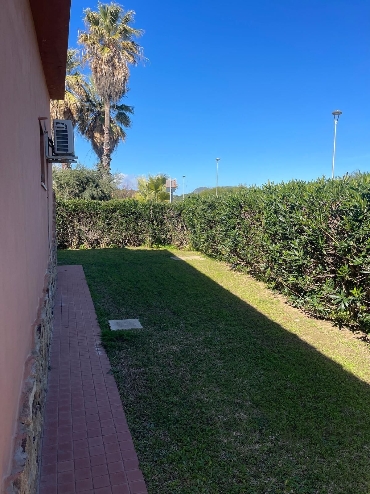 A paved pathway leading to a grassy area with a palm tree and a hedge in the background.