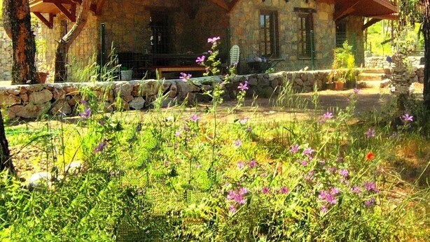 Ein Steinhäuschen mit geneigtem Dach und einer Veranda, umgeben von Bäumen und Wildblumen.