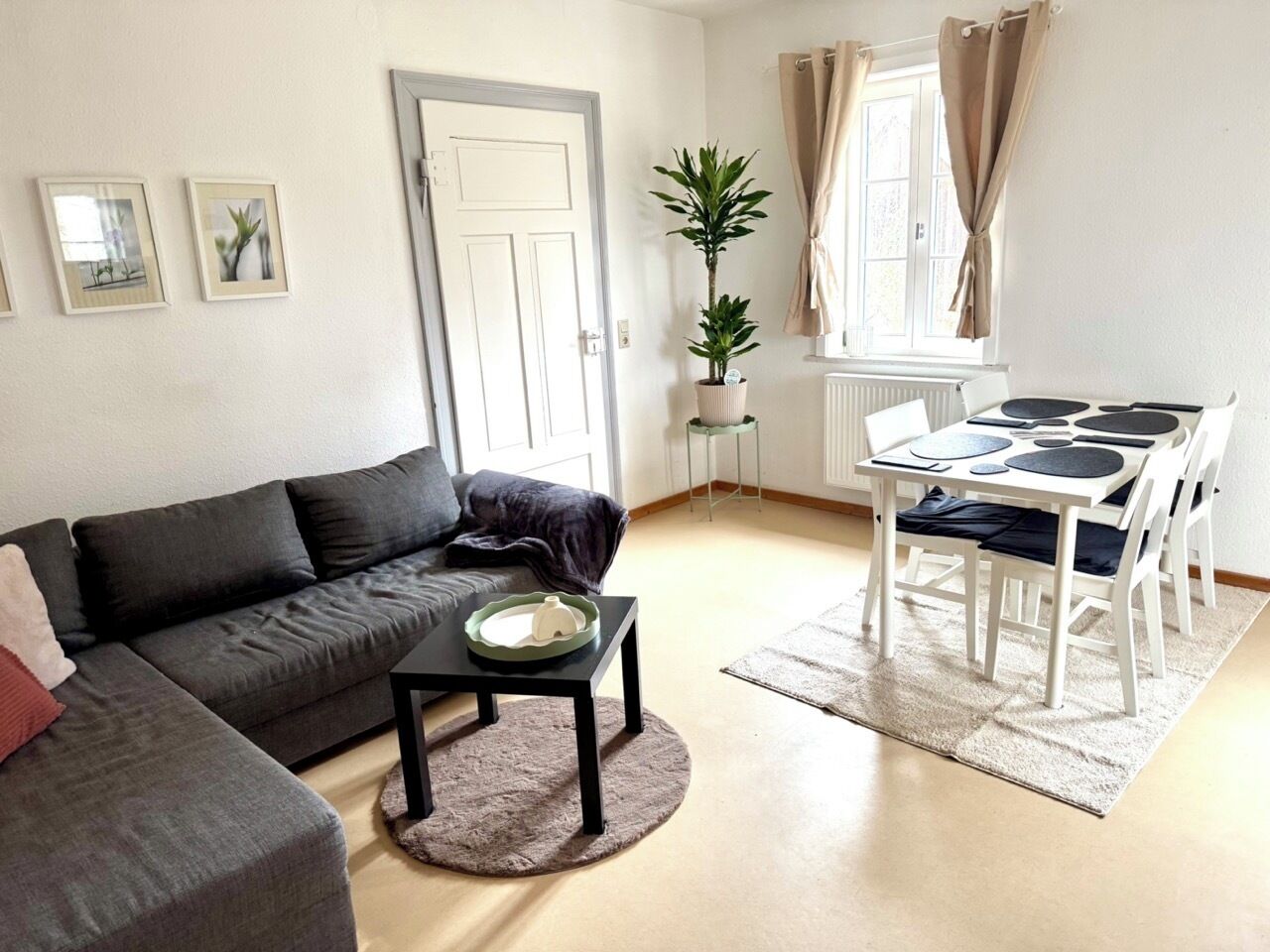 A living room with a sofa, a coffee table, a dining table with chairs, a potted plant, and a window with curtains.