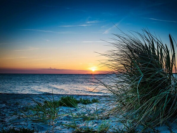 House | Beach - Dune Happiness Busum (Büsum)