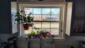 Une cuisine équipée d’un évier à deux bacs, d’une machine à café et de plantes en pot sur le rebord de la fenêtre.