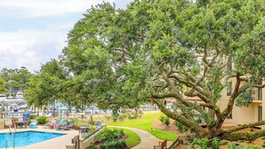 Zona de piscina con sillas de descanso y un árbol grande.