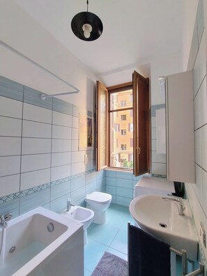 Shower, jetted tub, hair dryer, bidet - House of Vinyl Rome (Roma)