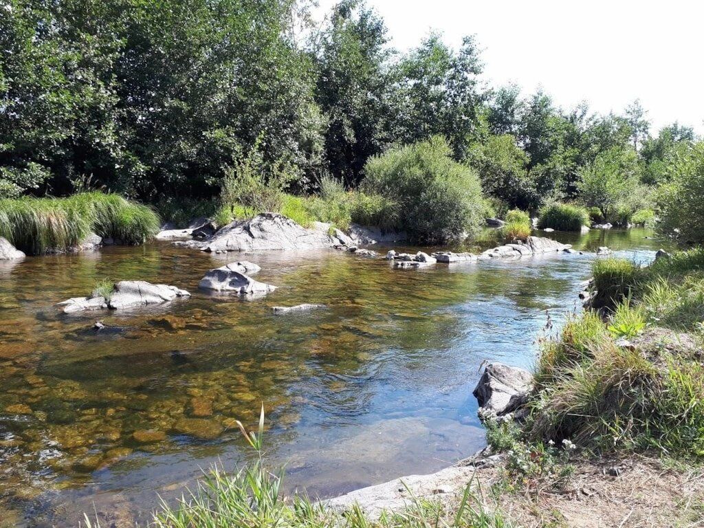 A clear river with rocks and dense greenery around.