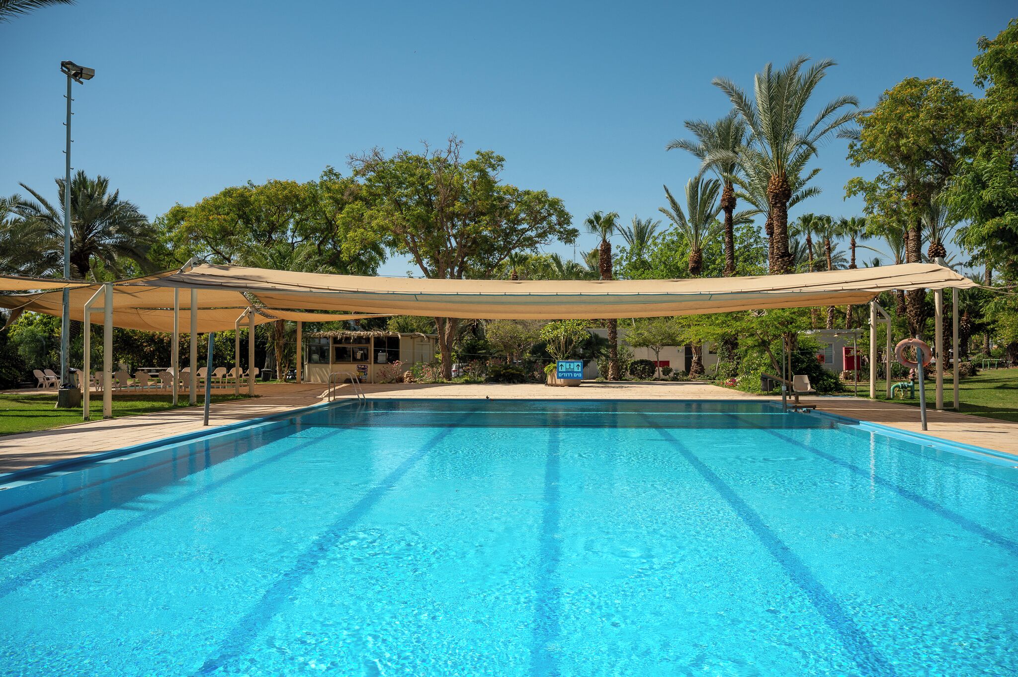 A clear swimming pool with a canopy, surrounded by palm trees and greenery.