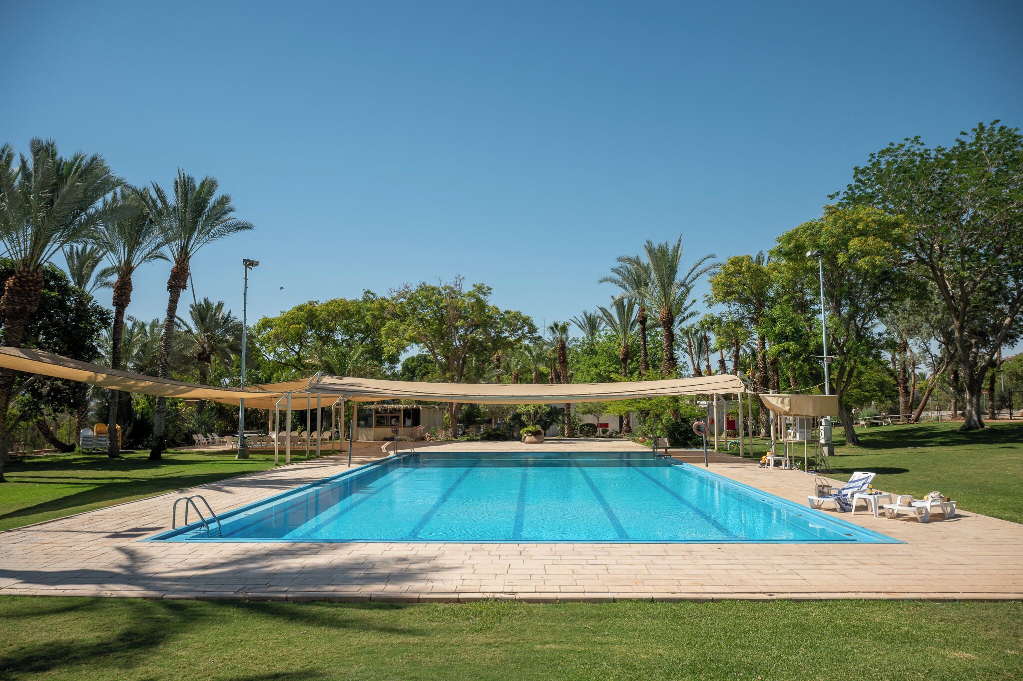 Seasonal outdoor pool, pool umbrellas, pool loungers