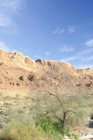 Blick von der Unterkunft