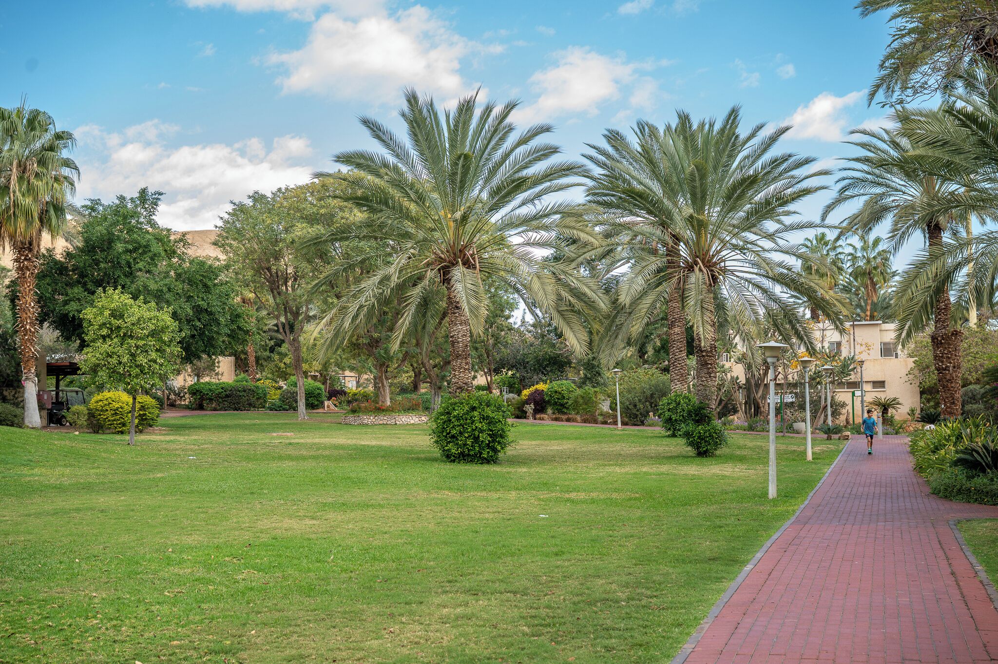 A pathway lined with palm trees and a grassy area, leading to a building with a light-colored facade.