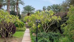 A pathway flanked by various trees and shrubs, leading to a building. - Kalya Kibbutz Hotel (Kalya)