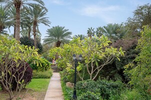 A pathway flanked by various trees and shrubs, leading to a building.