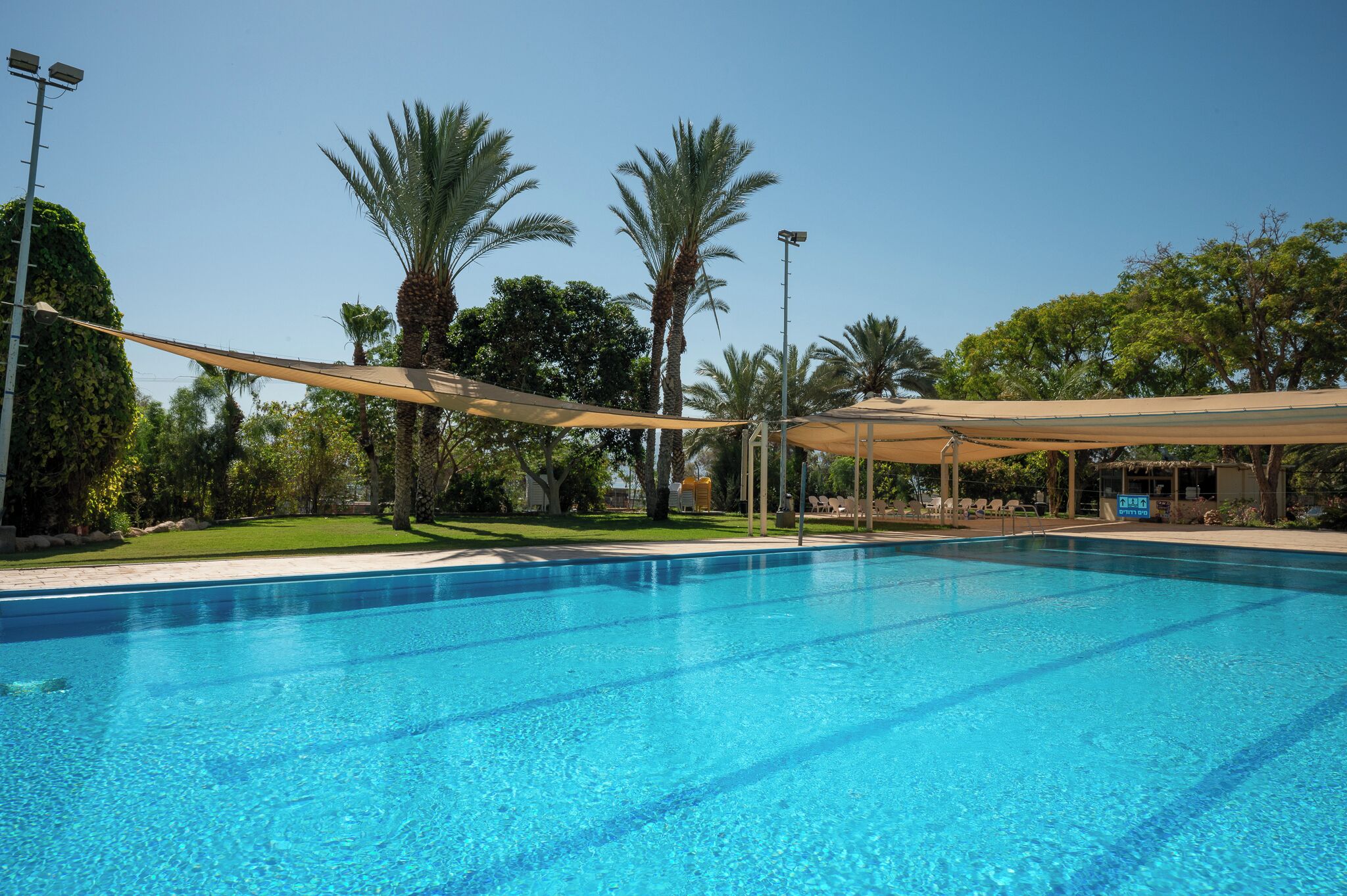 Seasonal outdoor pool, pool umbrellas, pool loungers