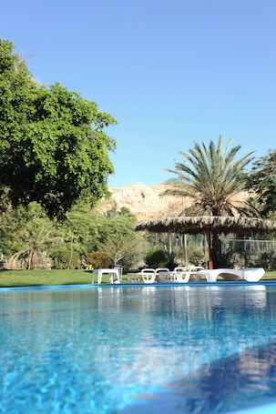 Seasonal outdoor pool, pool umbrellas, sun loungers