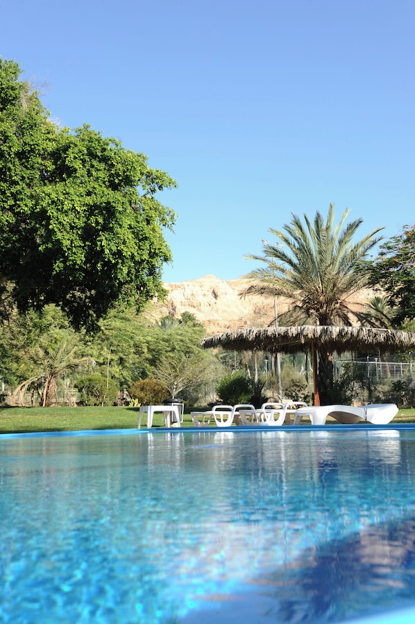 Seasonal outdoor pool, pool umbrellas, pool loungers
