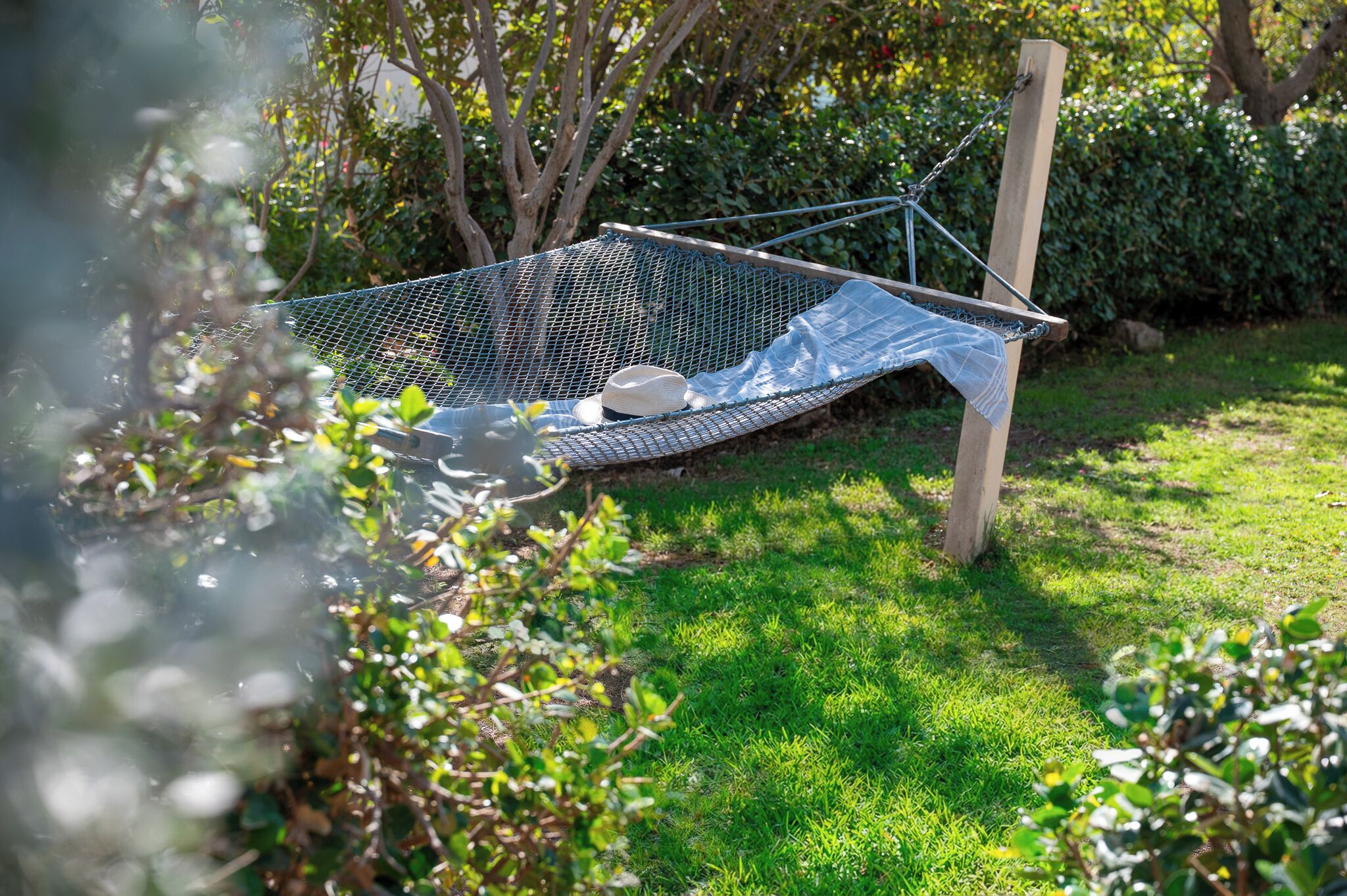 A hammock in a garden with a wooden post, surrounded by greenery.