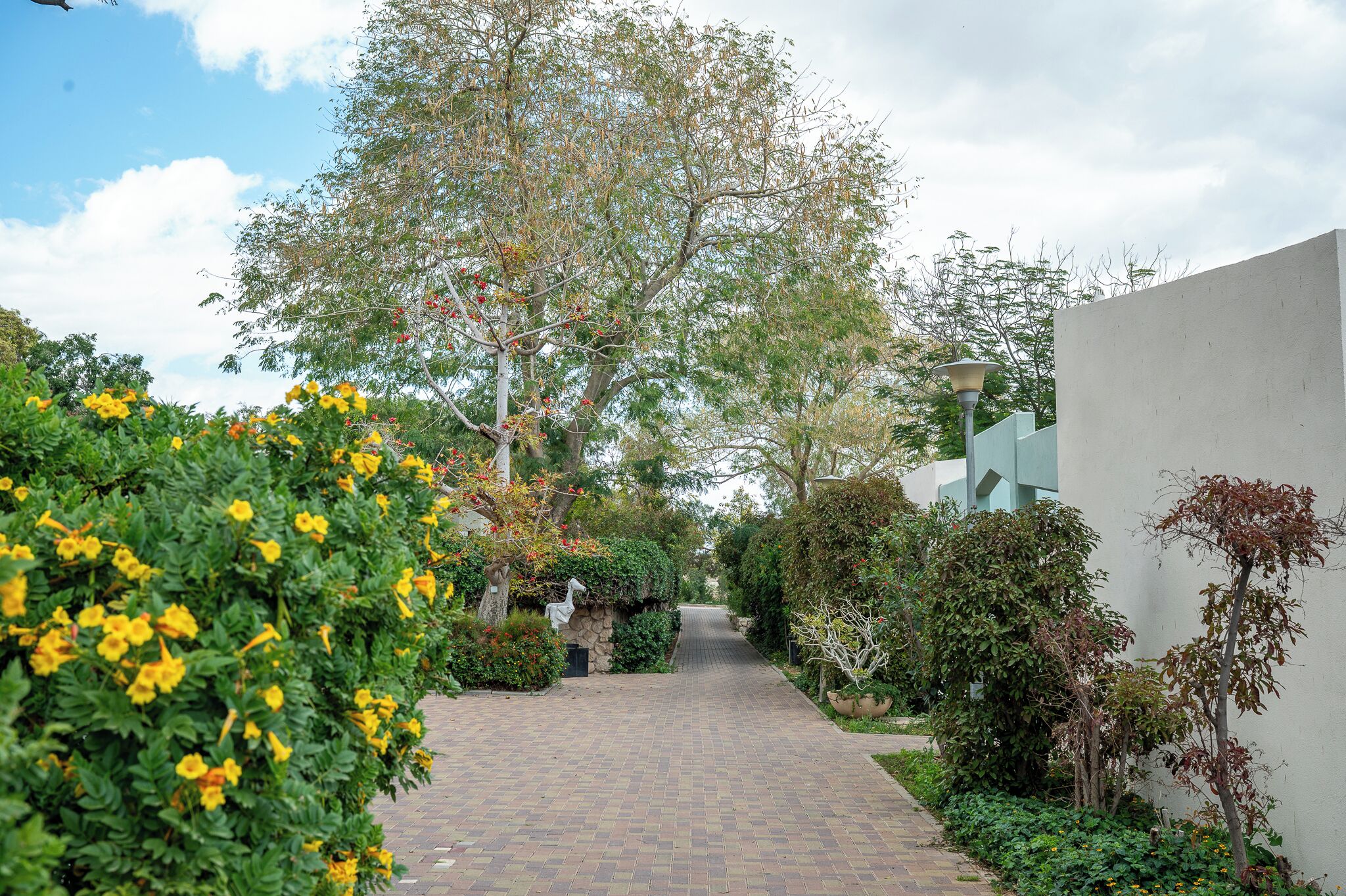 Jardin