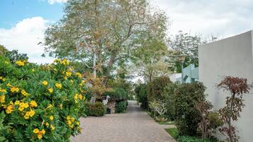 Jardin