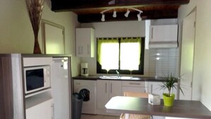 A compact kitchen with a microwave, sink, and a small dining area with a chair and a potted plant.