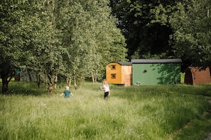 Un campo con césped, árboles y un edificio pequeño amarillo y verde.