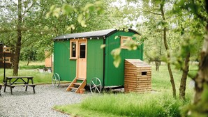 Eine kleine, grüne Holzhütte mit Tür, Fenster und einer Rampe zum Eingang.